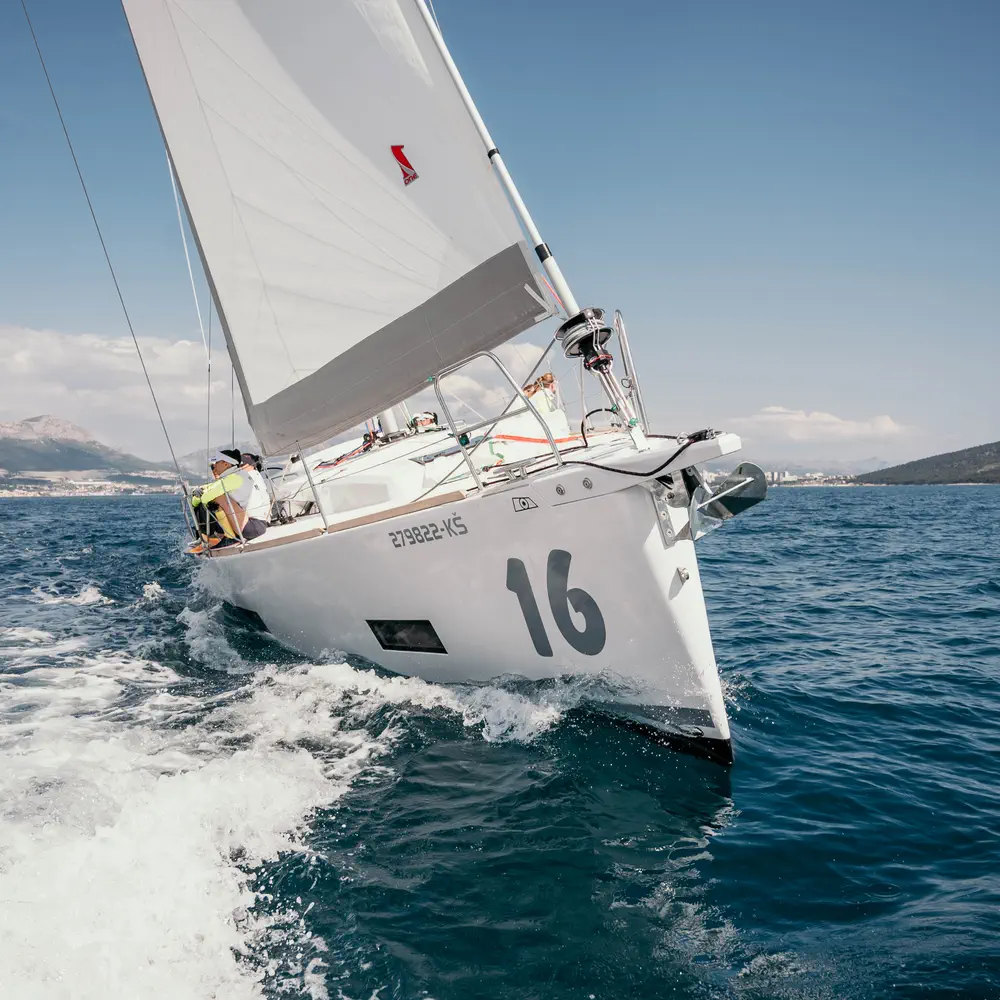 IRIS 19