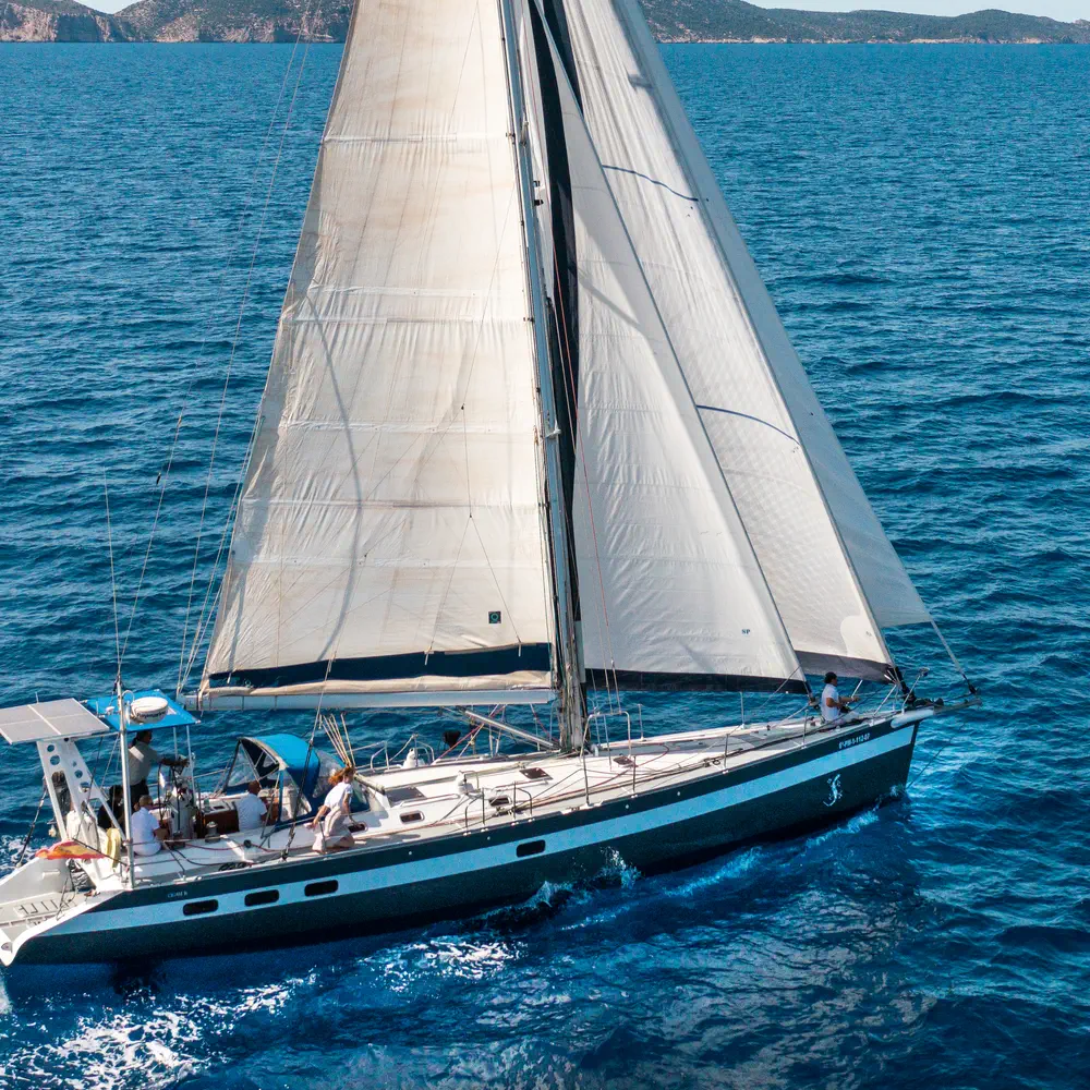 Sargantal 24