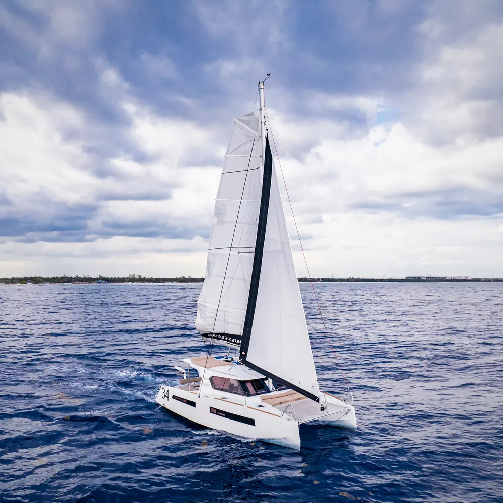 Da Vinci 25