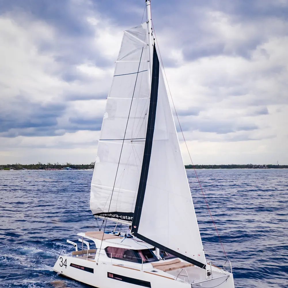 Da Vinci 24