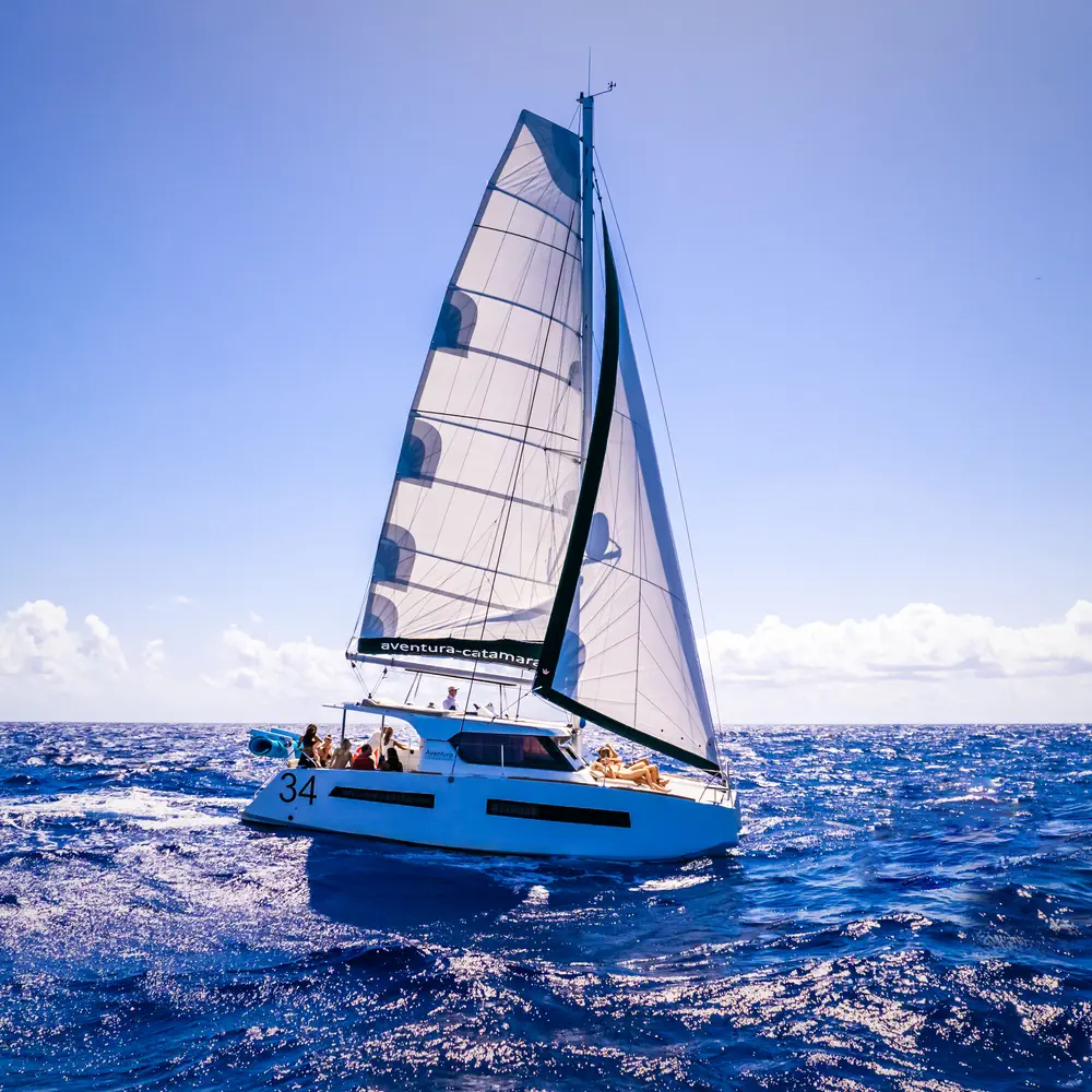 Da Vinci 28