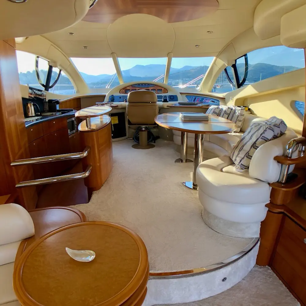 Cosmos 36