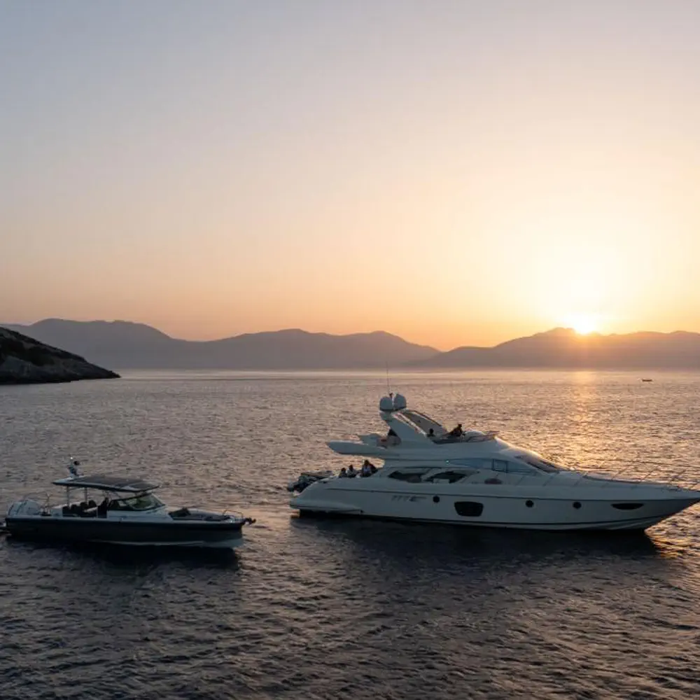 GRACE 26