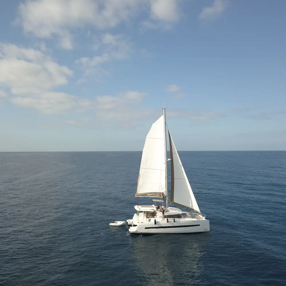 INSAIL 12