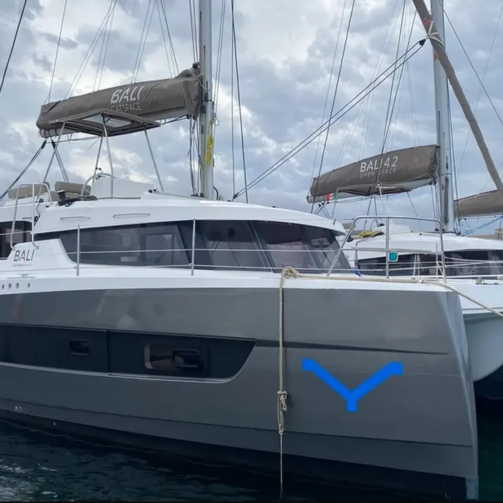 Tursiops 33