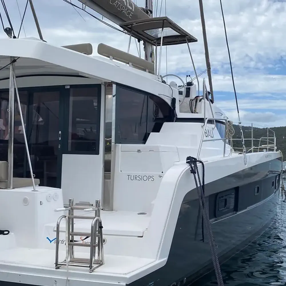 Tursiops 29