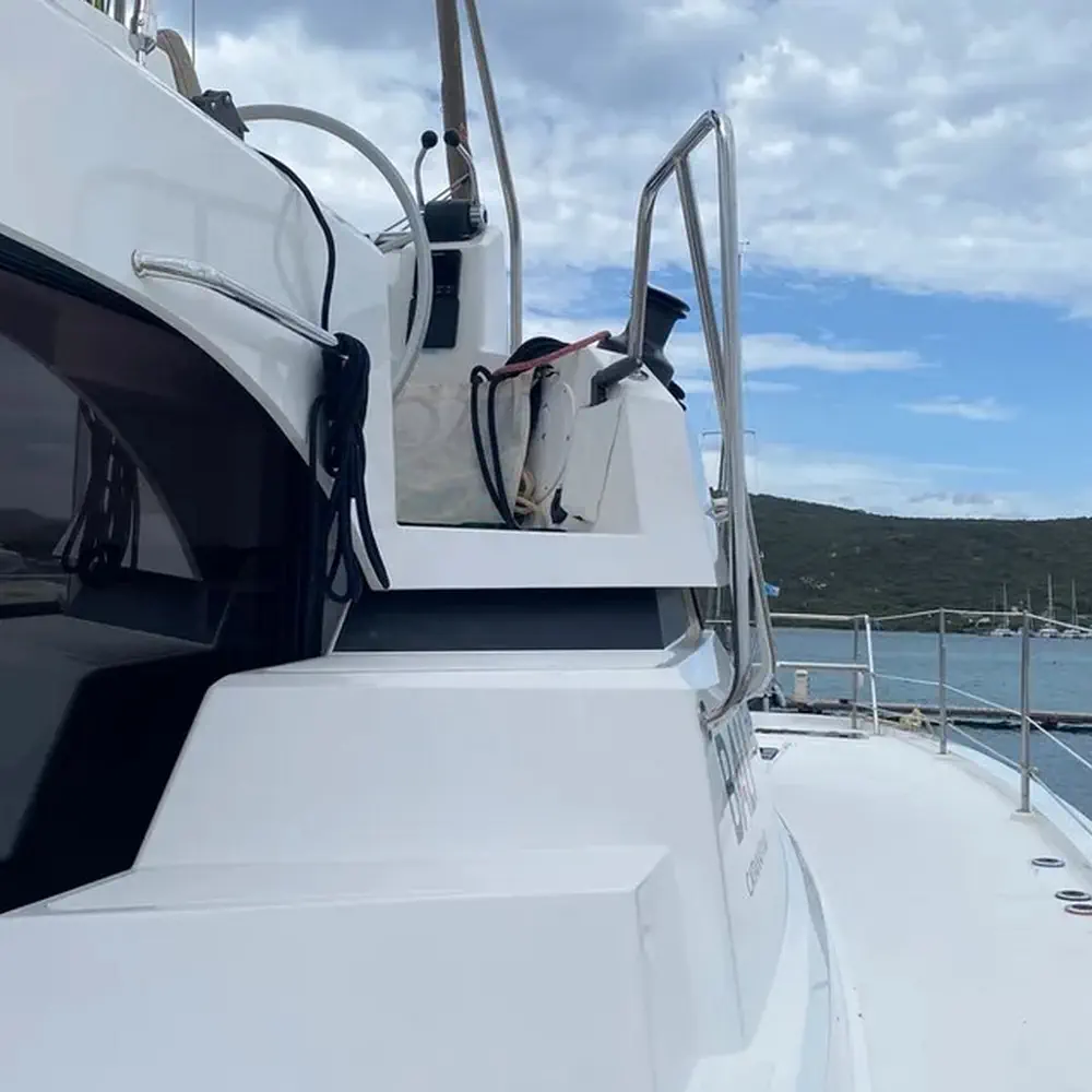 Tursiops 38