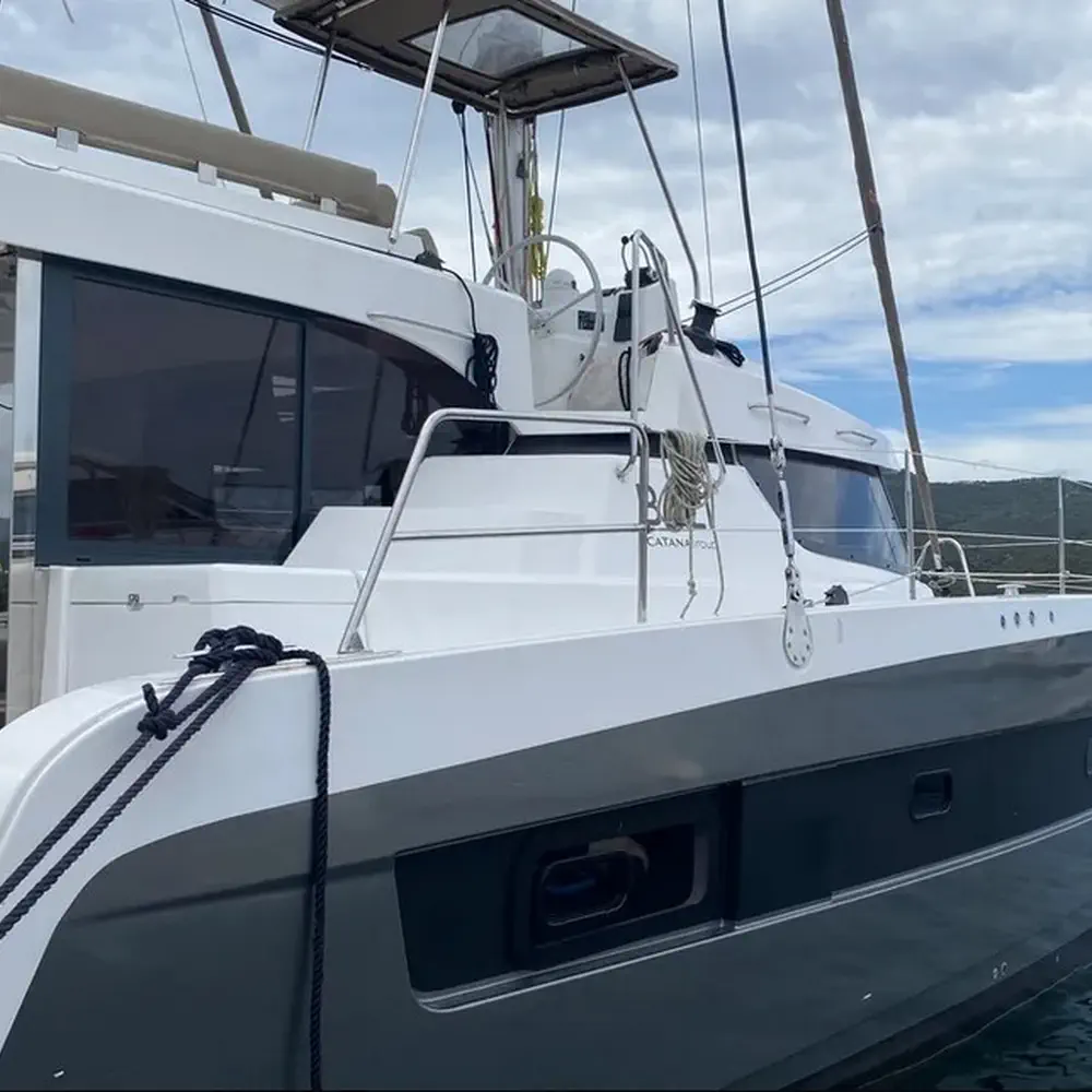 Tursiops 41