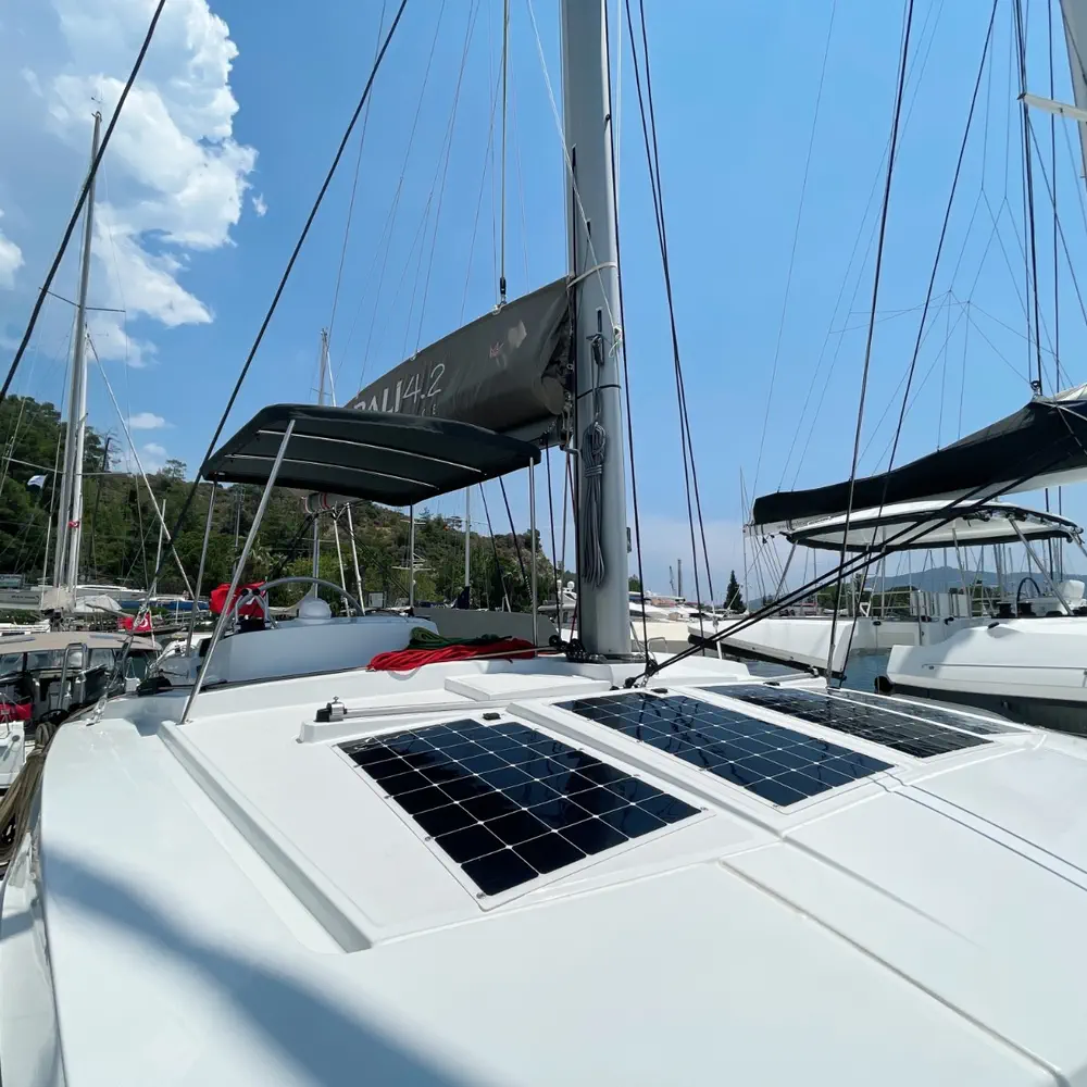 Bella II 9