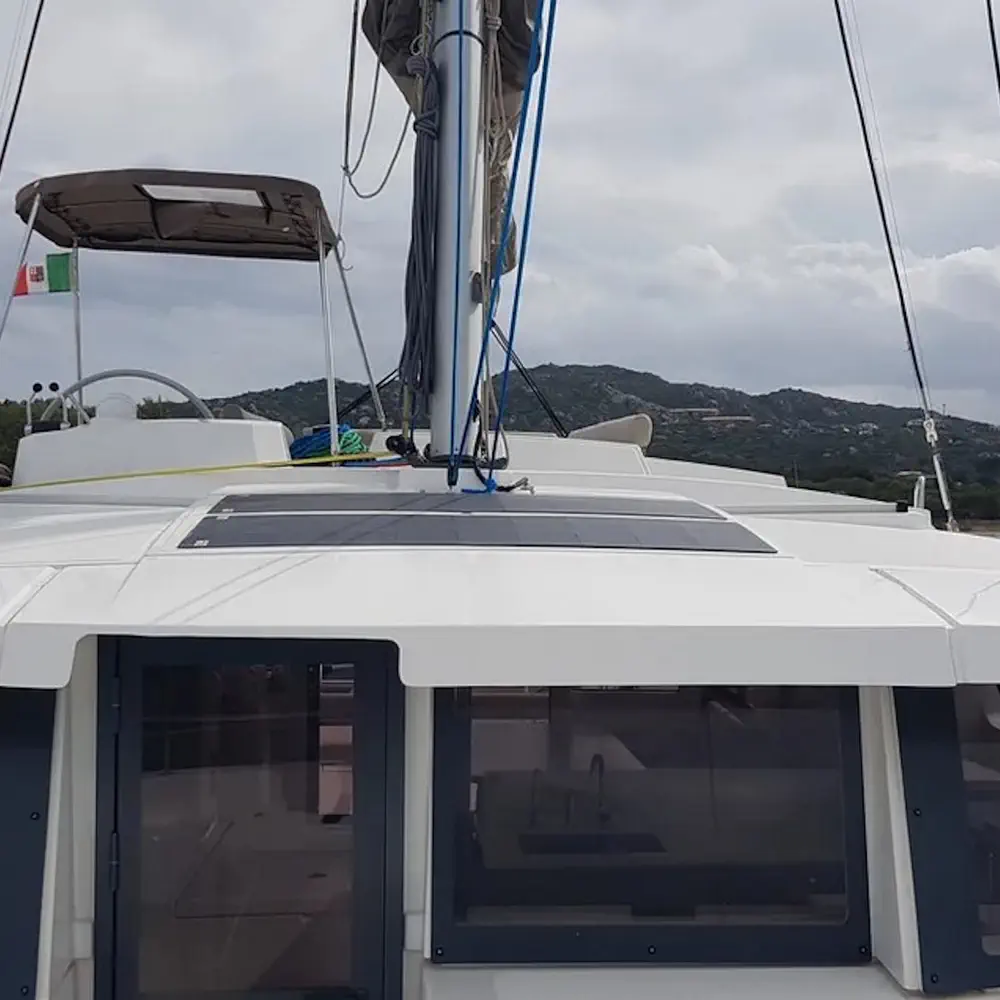Ziphius 21
