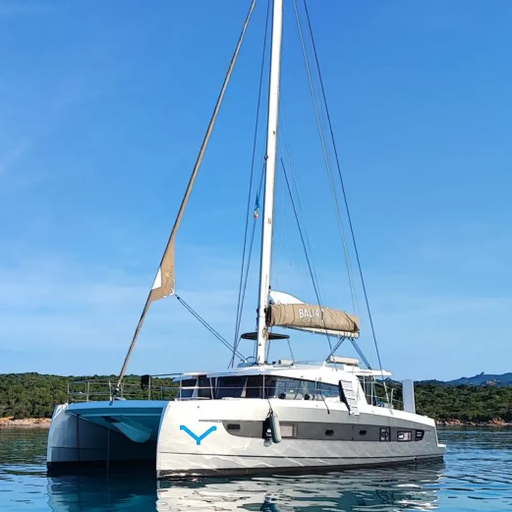 Ziphius 27