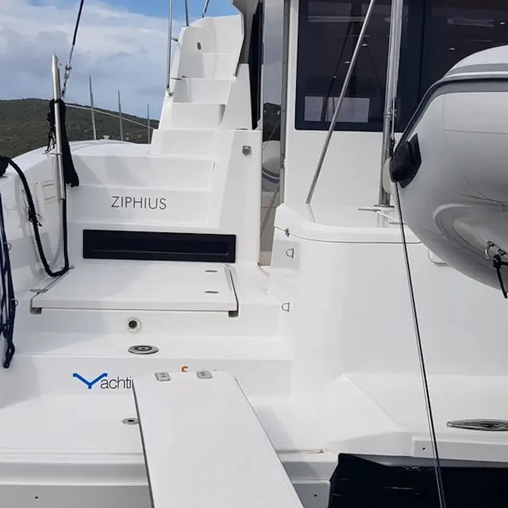 Ziphius 29