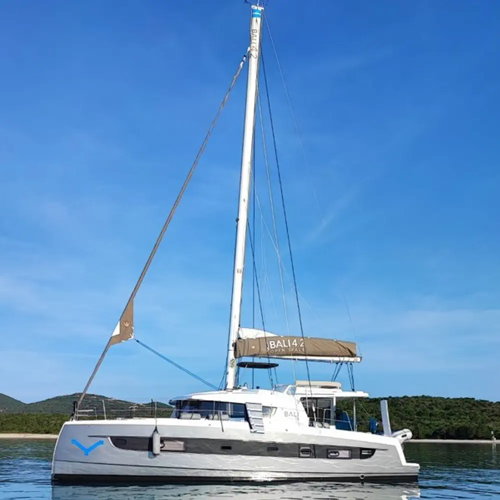 Ziphius 30