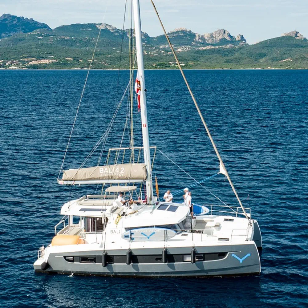 Ziphius 31