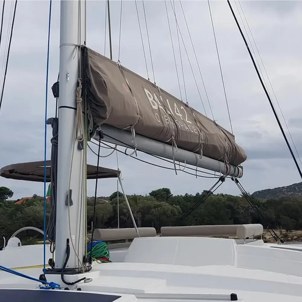 Ziphius 35