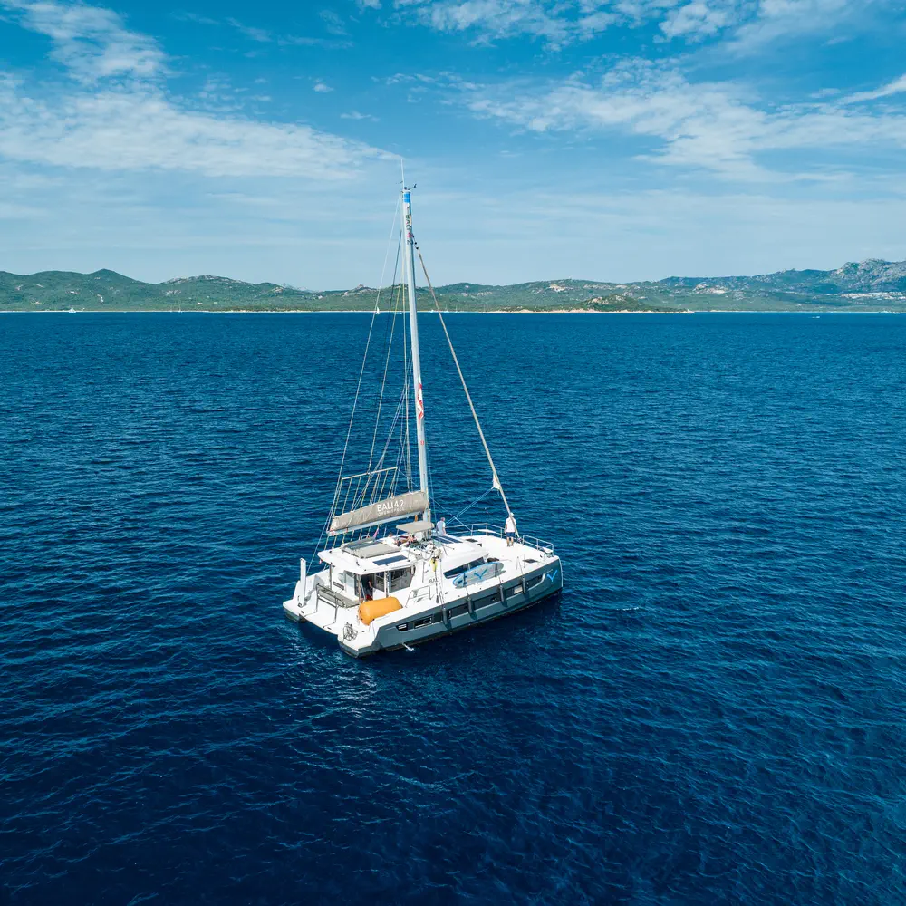 Ziphius 23