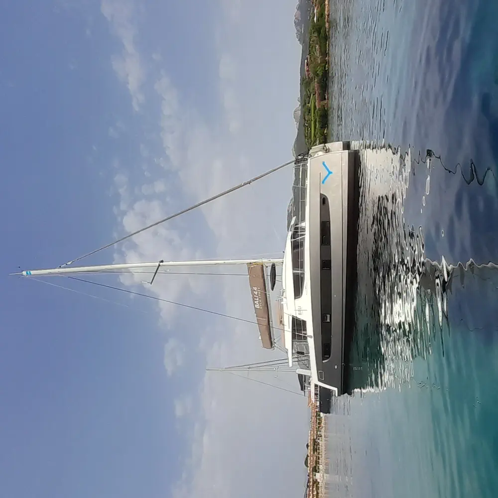 Stenella 16