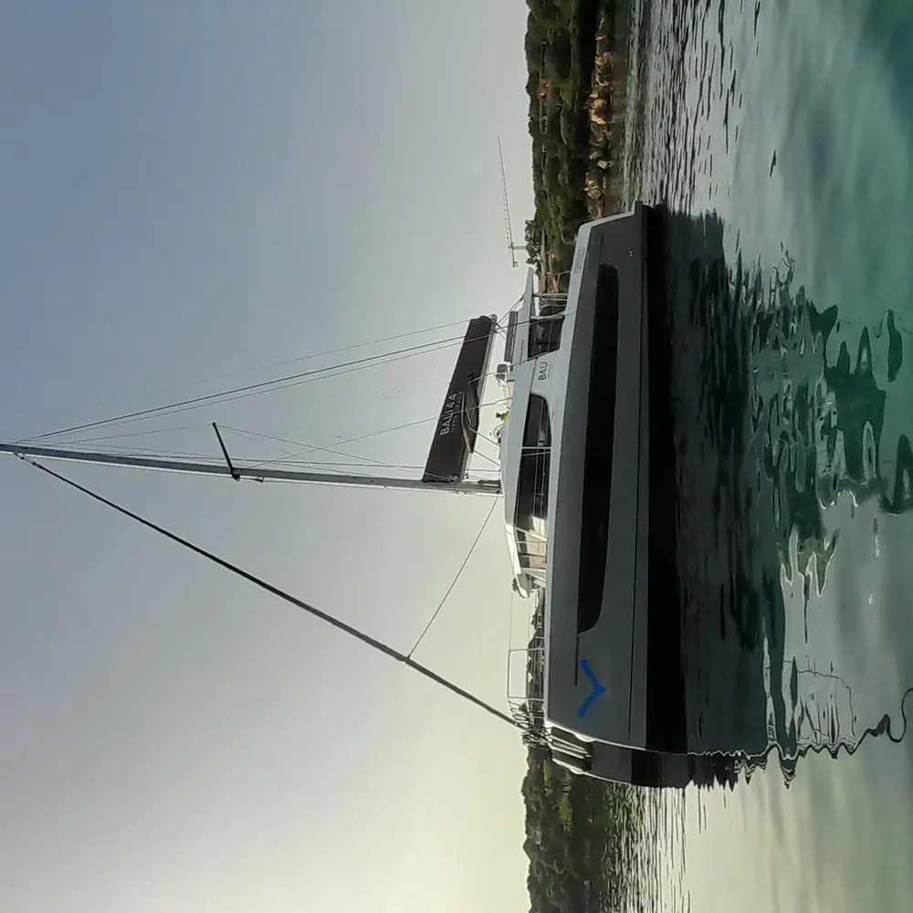 Stenella 29