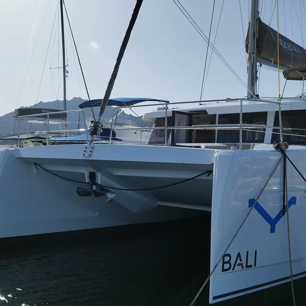 Stenella 41