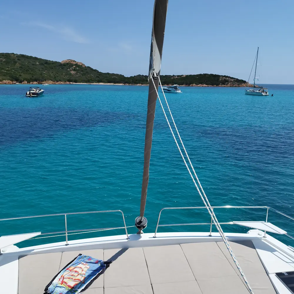 Stenella 42