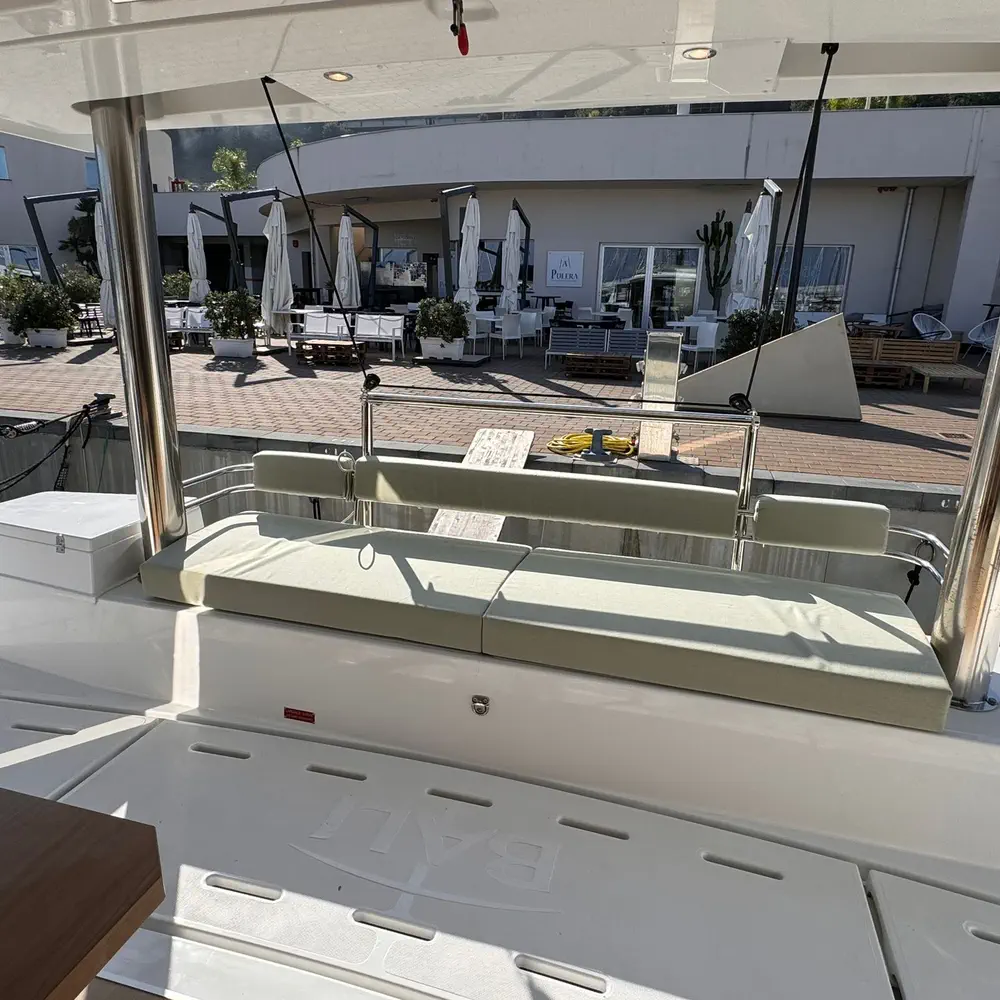 Silver Dolphin 2