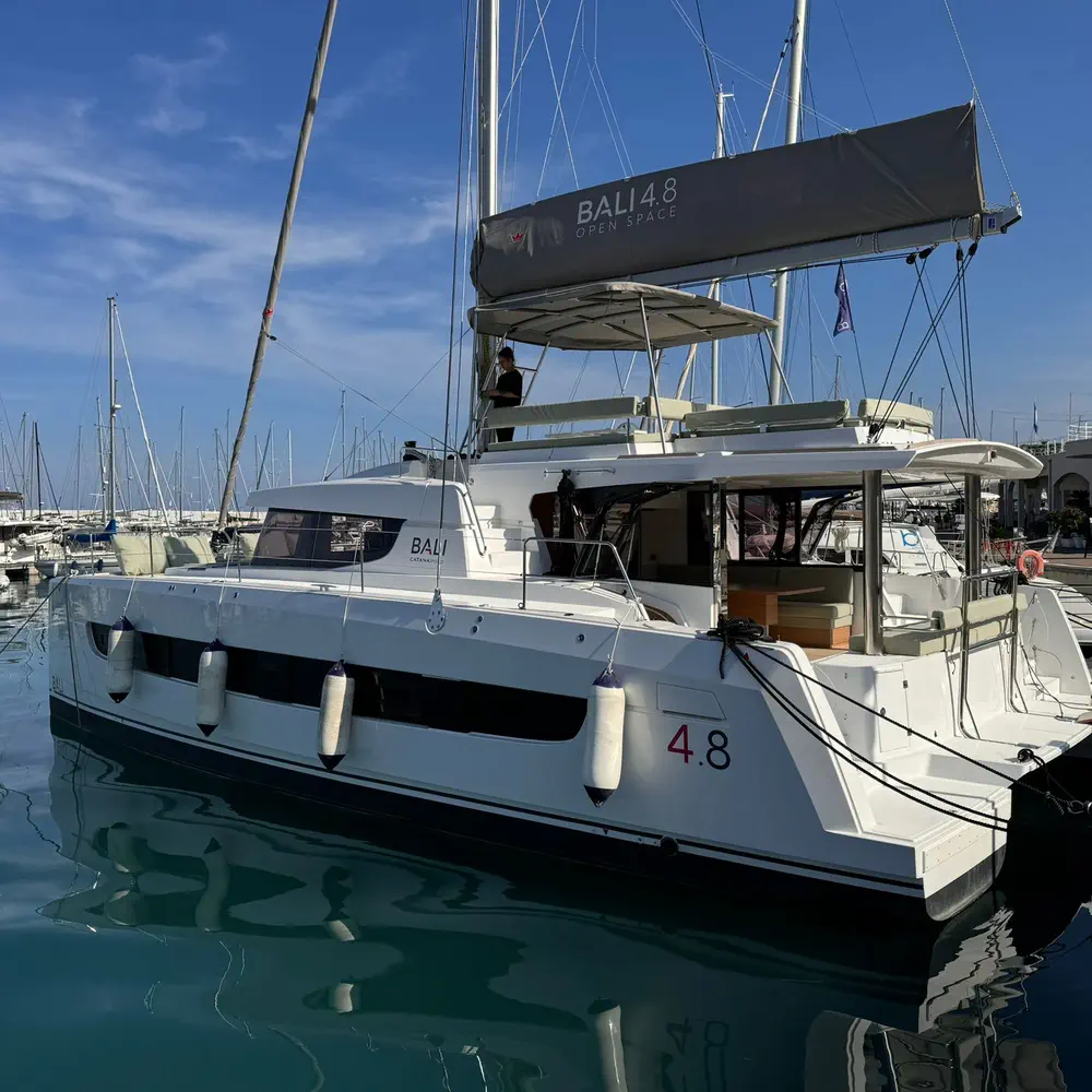 Silver Dolphin 8