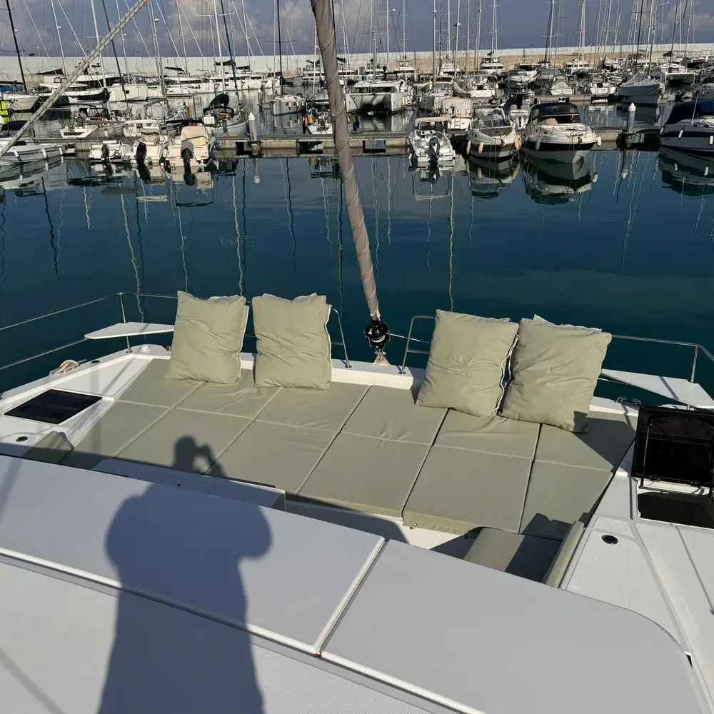 Silver Dolphin 4