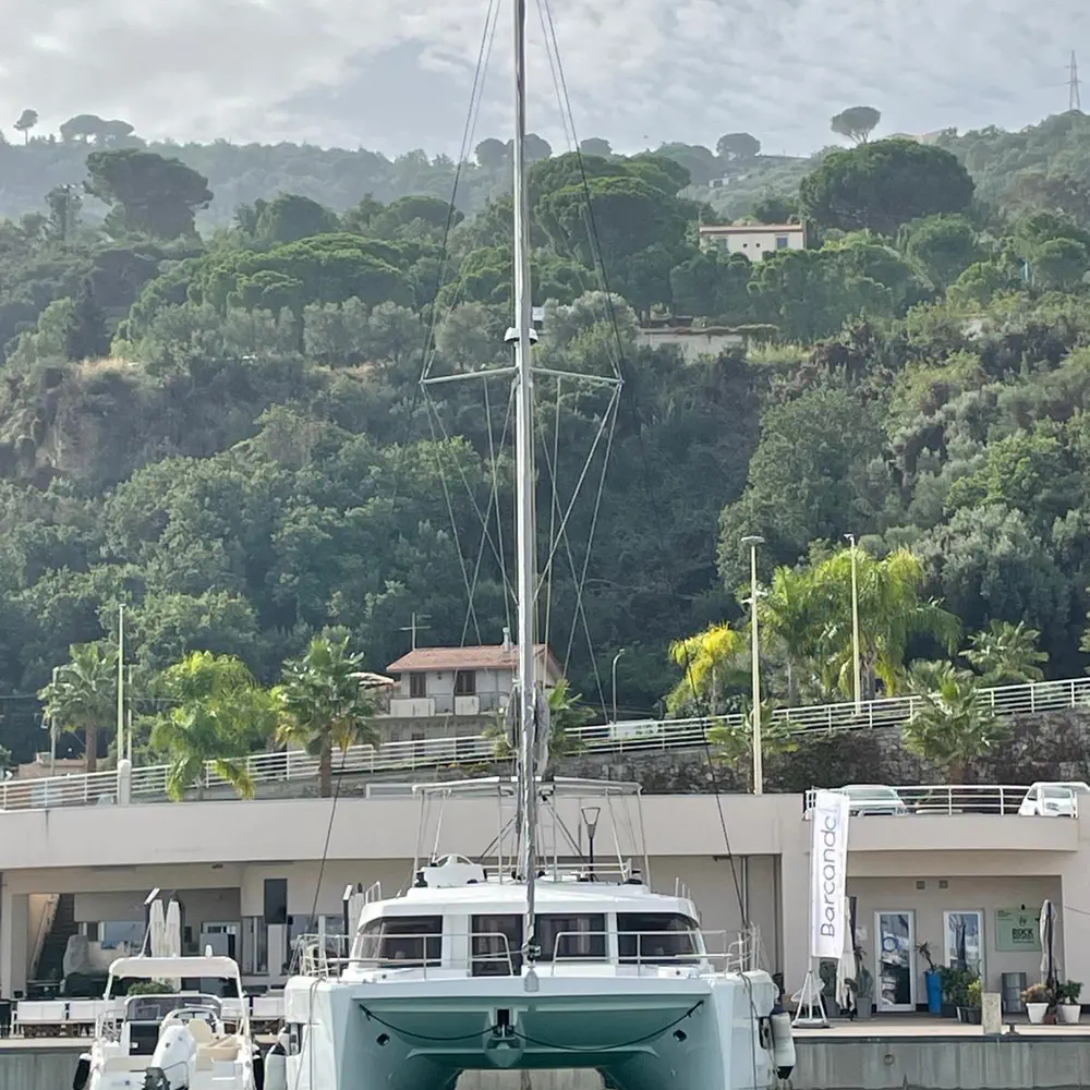 Silver Dolphin 16