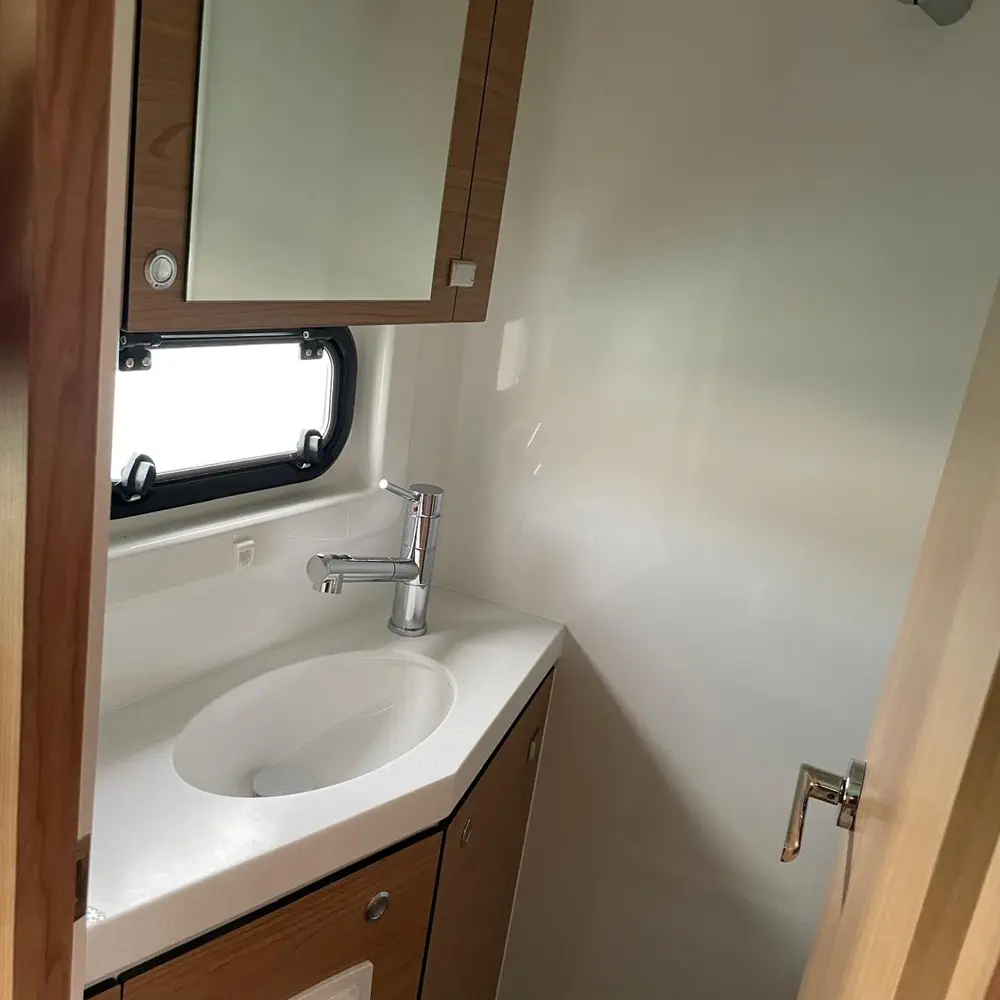 Silver Dolphin 21
