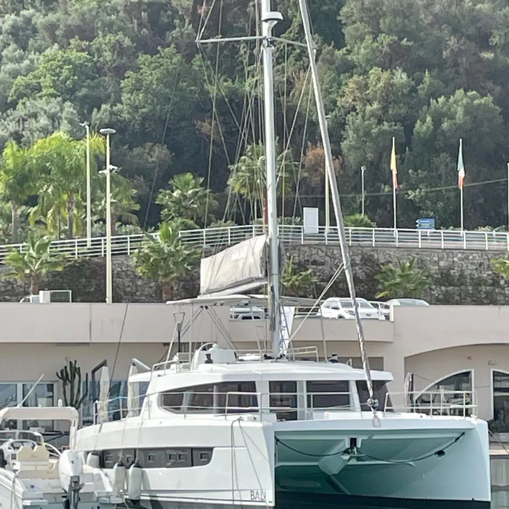 Silver Dolphin 22