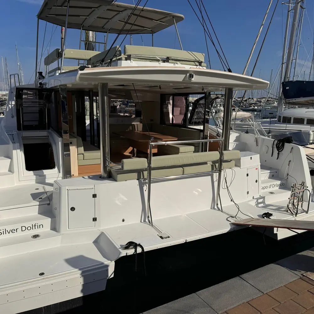 Silver Dolphin 25