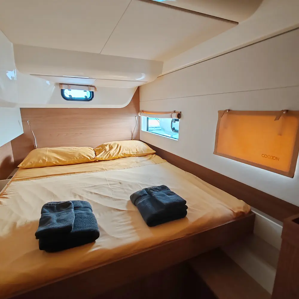 COCOON 41