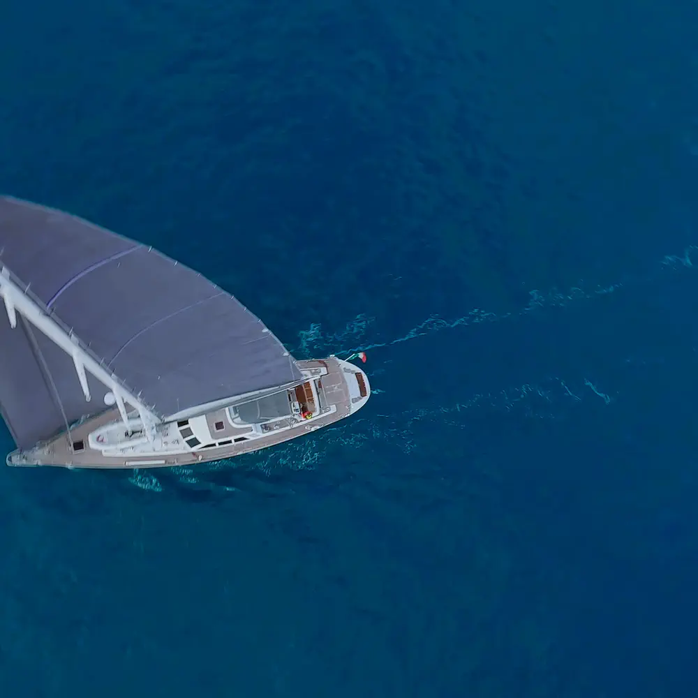 Aurora  22