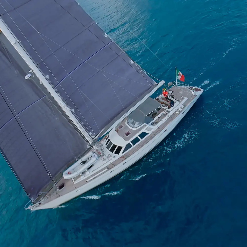 Aurora  31