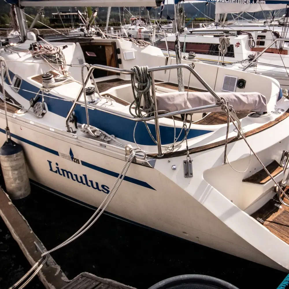 Limulus 1