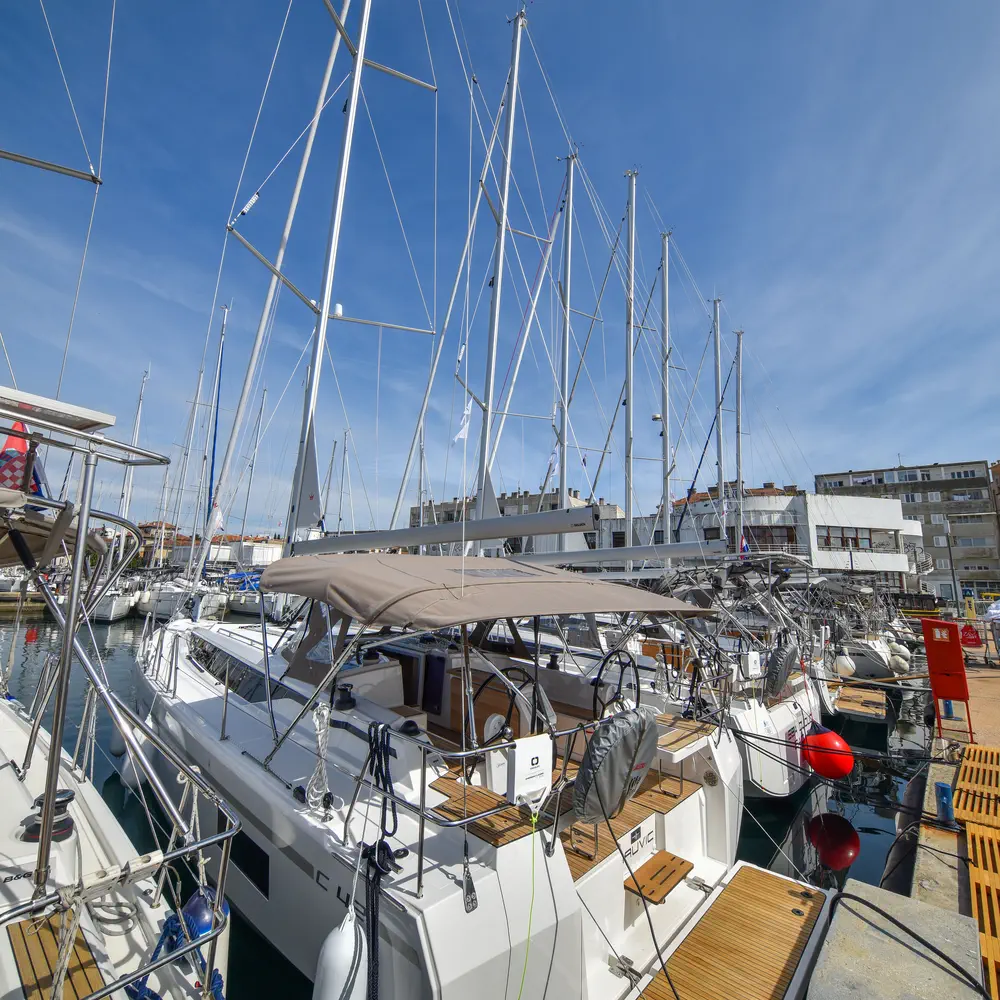Mauvic 20
