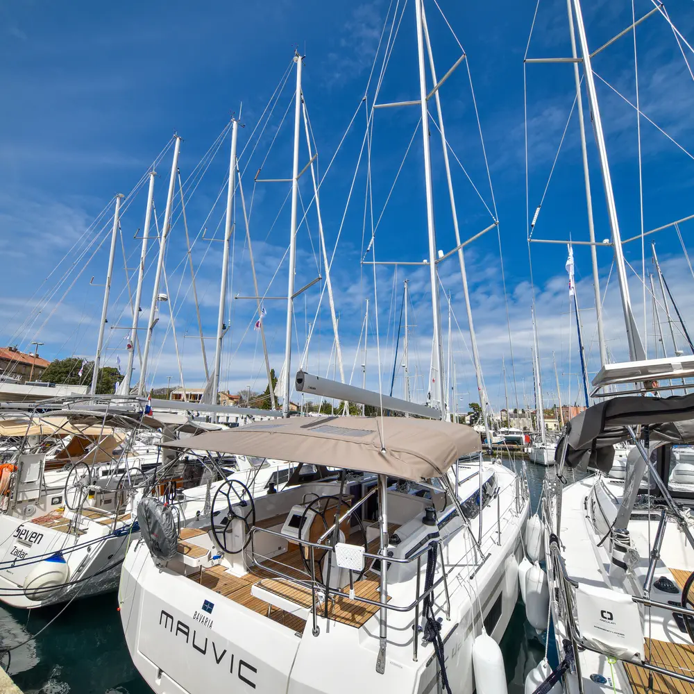 Mauvic 49