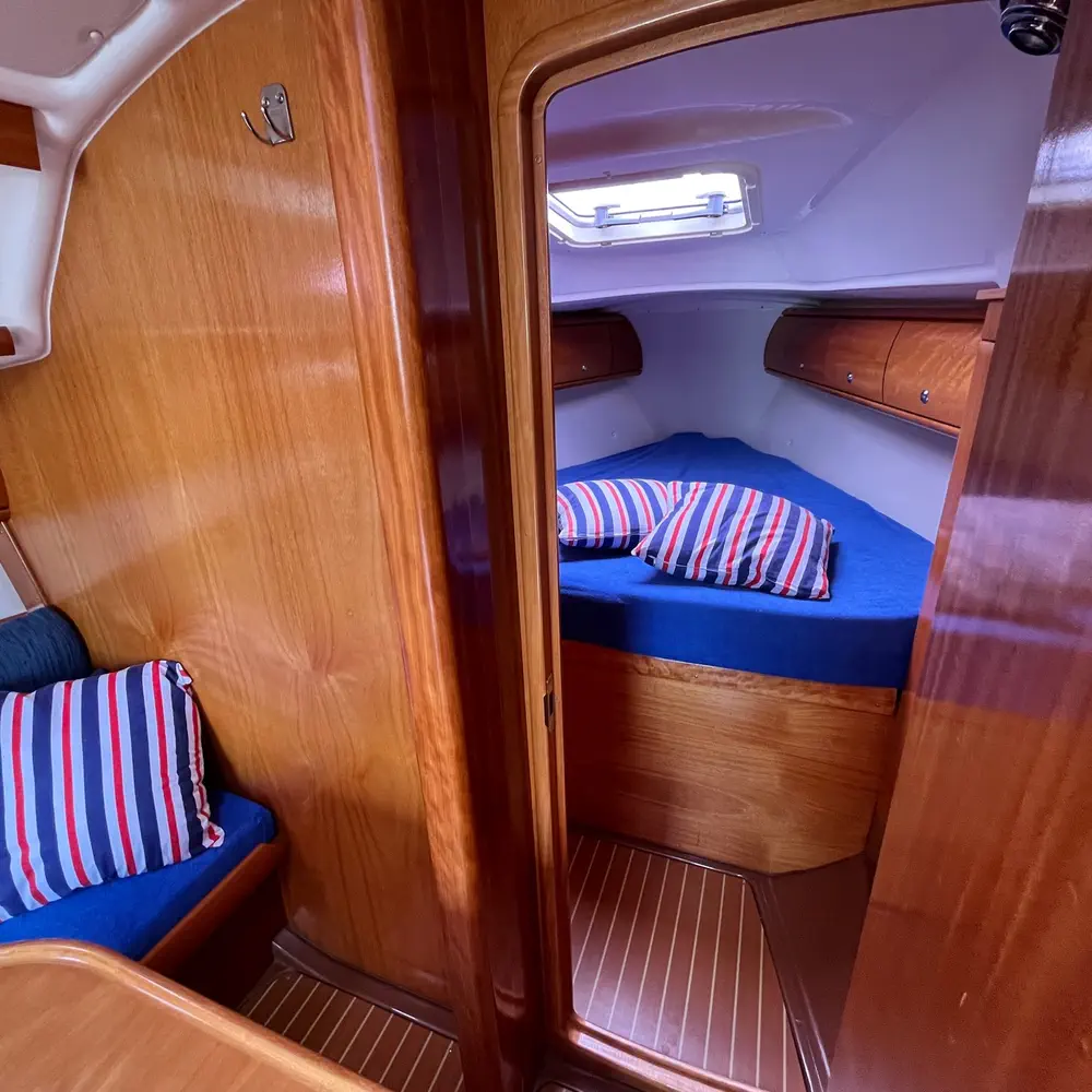 Cruiser 11