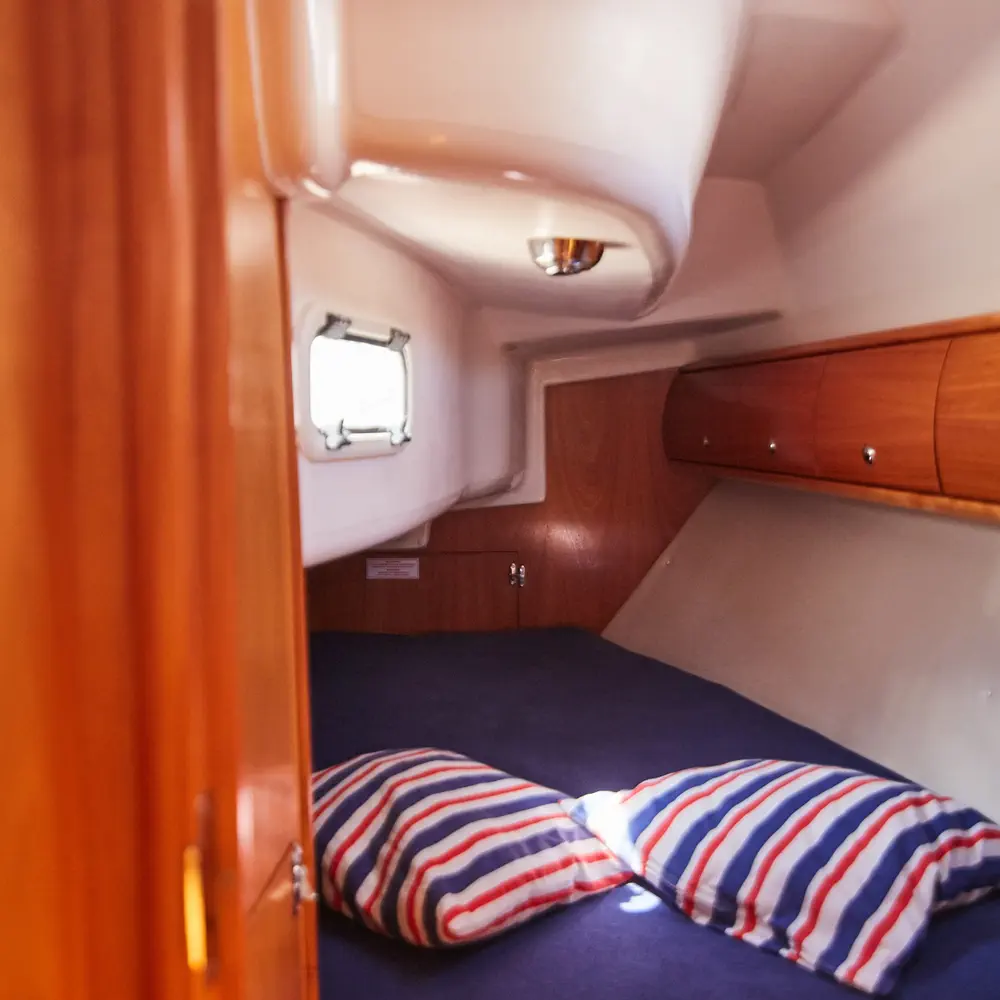 Cruiser 5