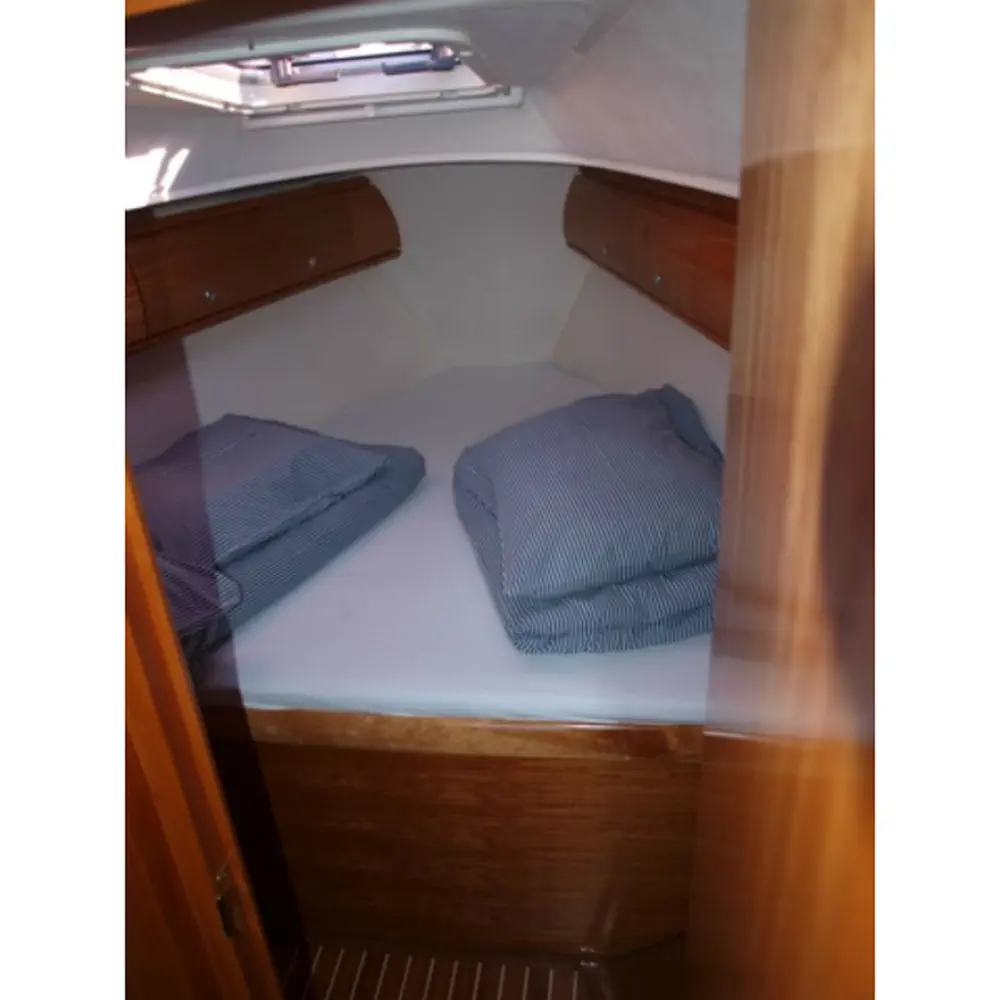 Sea Star 8