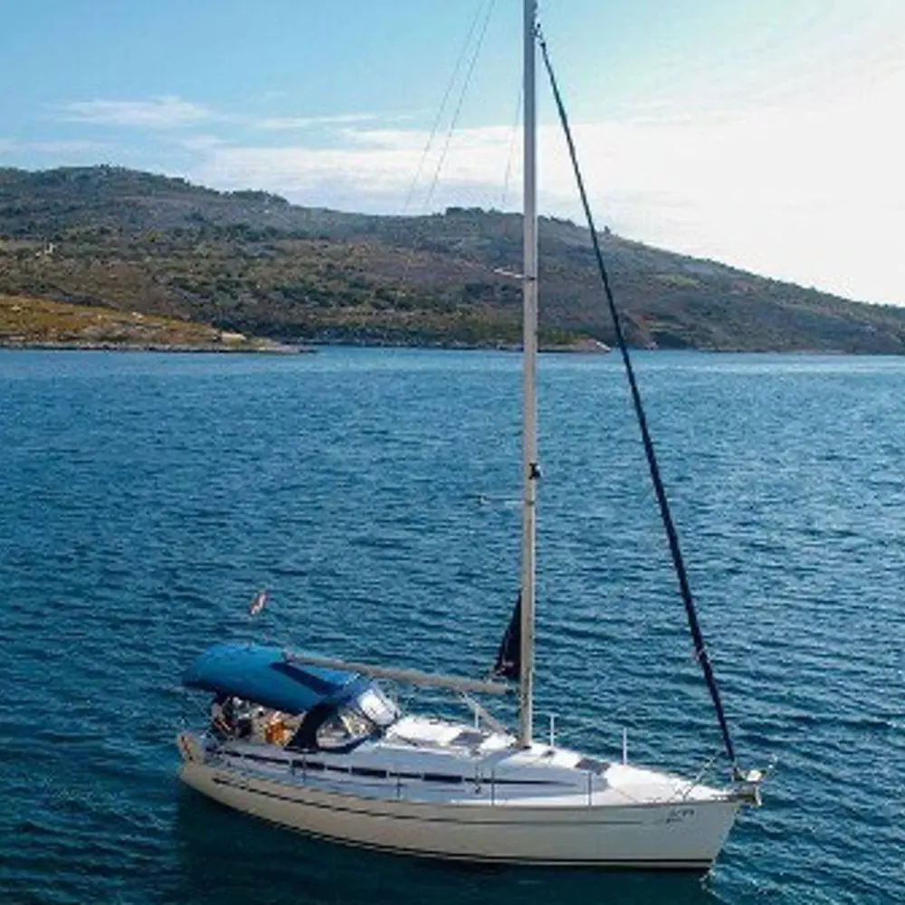 Sea Star 11