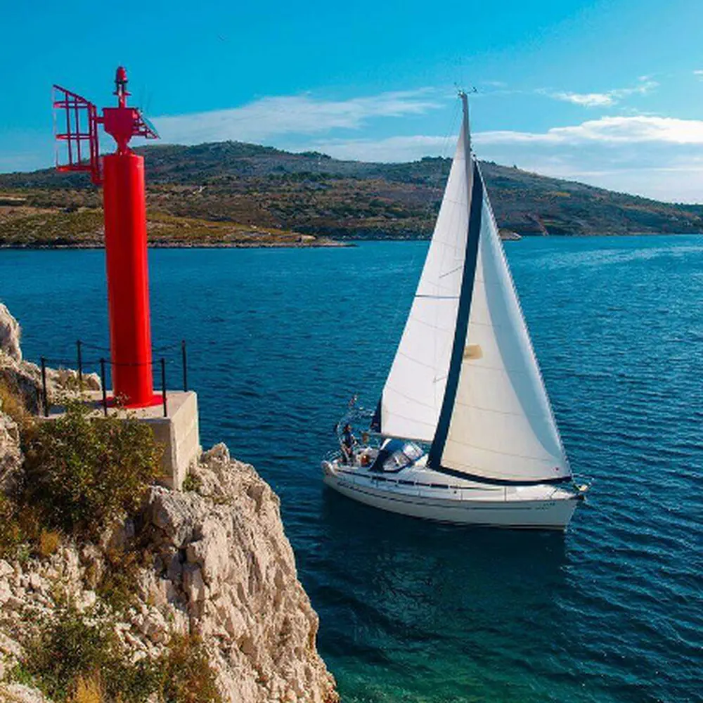 Sea Star 14