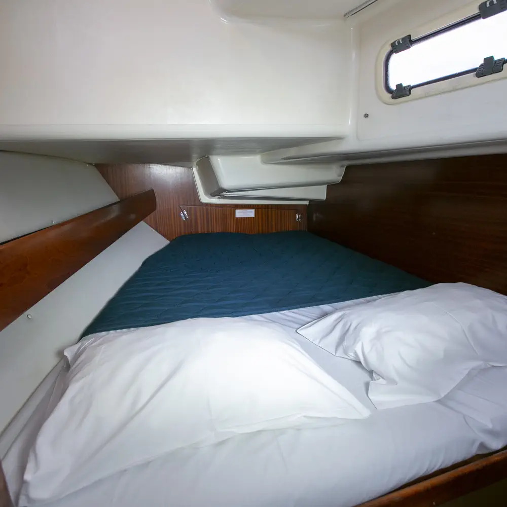 Calypso 6
