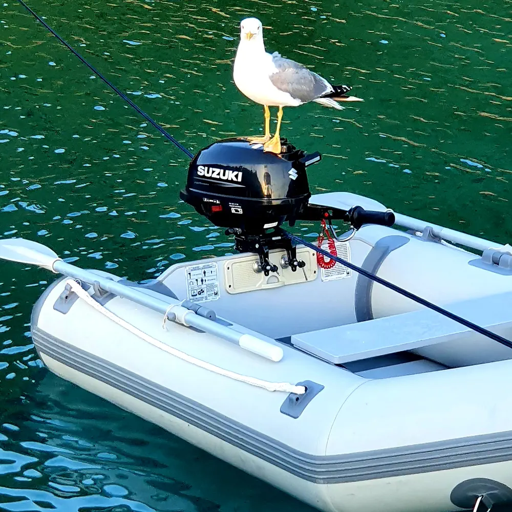 Scorpion 43