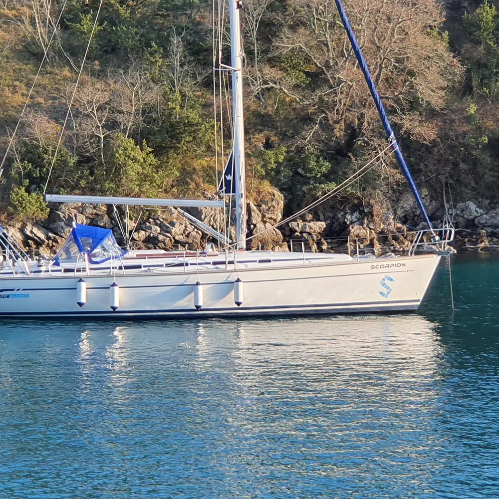 Scorpion 49