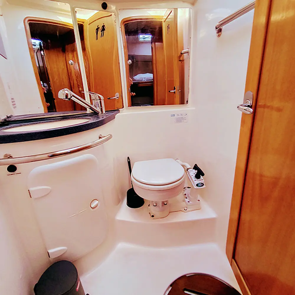 Prominea 10