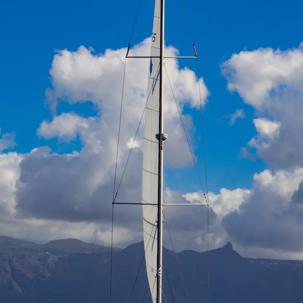 Lady Sunshine 20