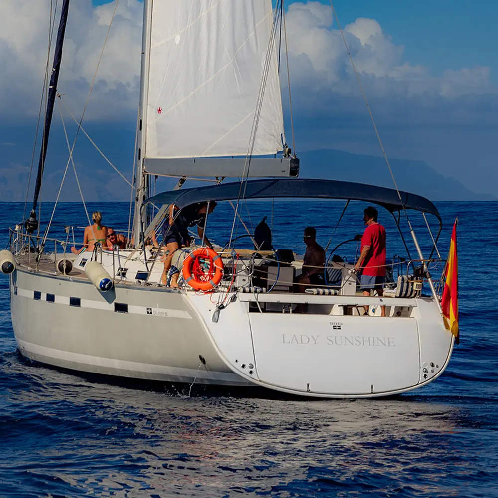 Lady Sunshine 29