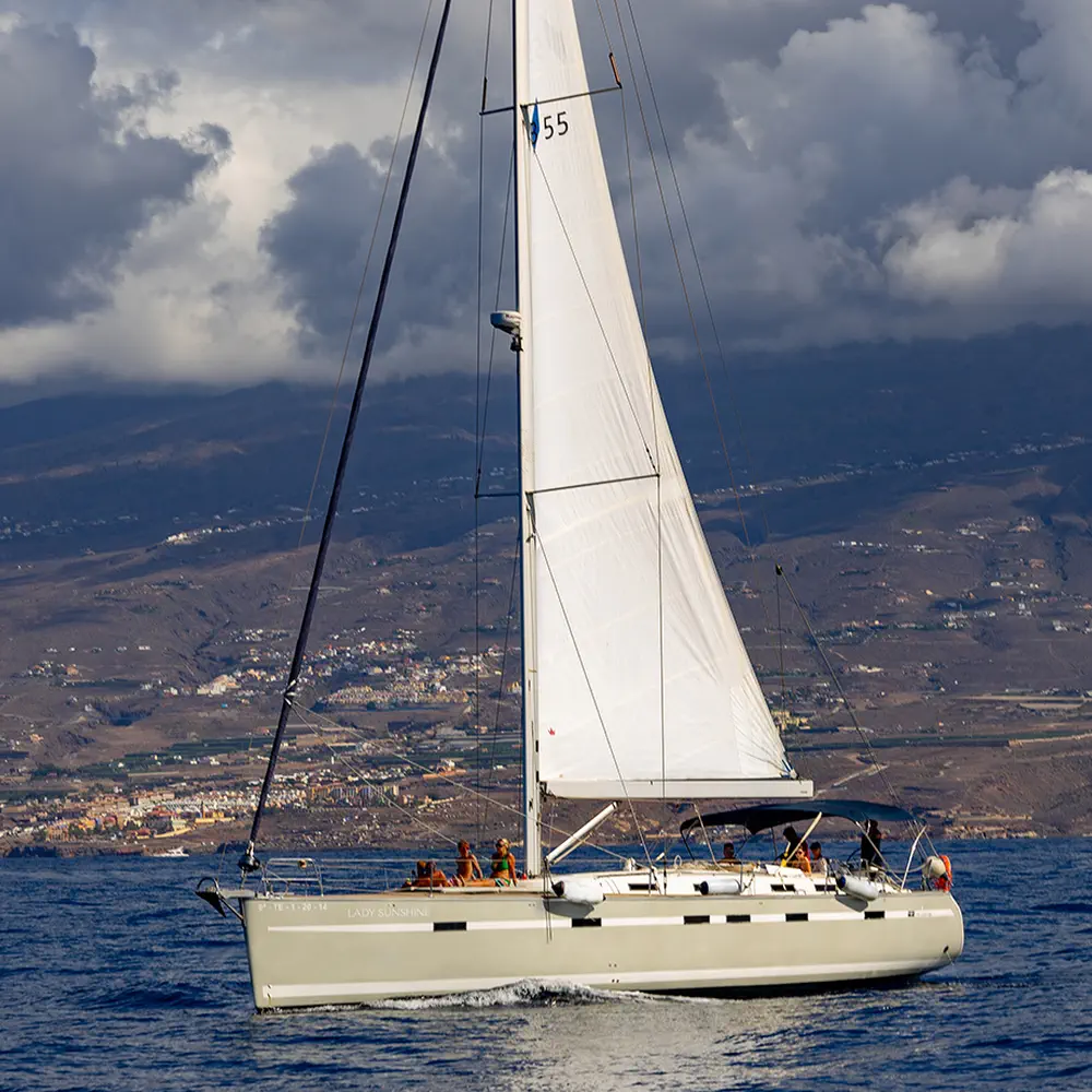 Lady Sunshine 36