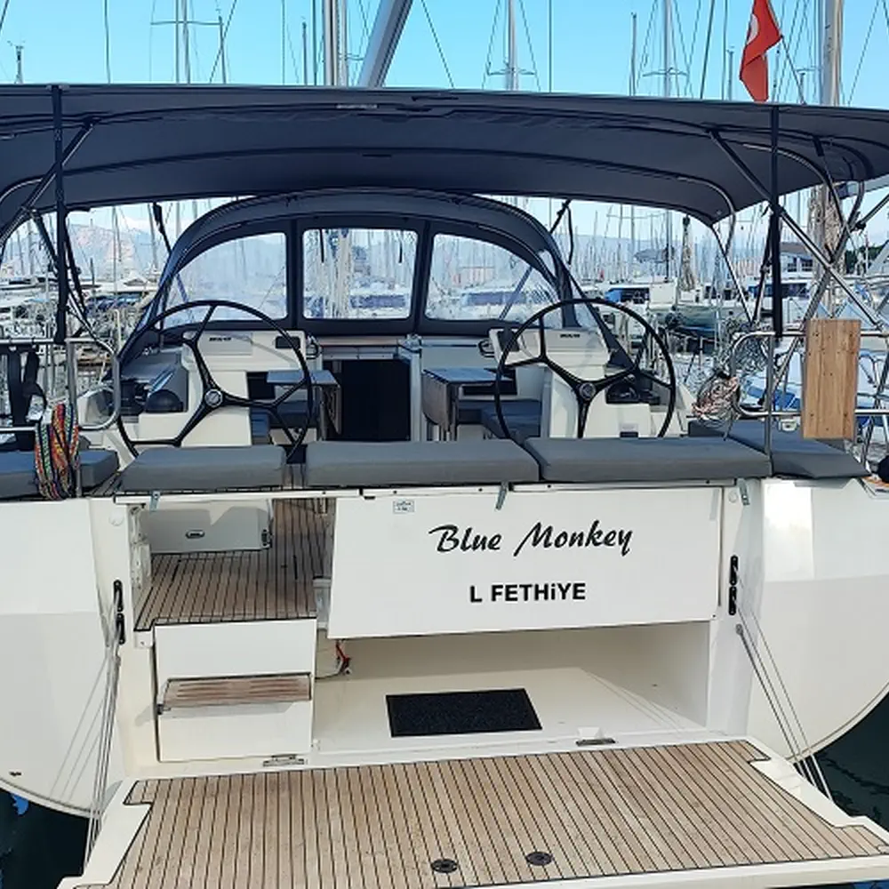 Blue Monkey 25